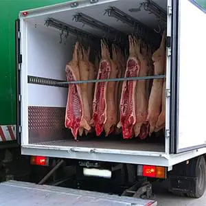 Транспортировка грузов рефрижераторами с грузчиками по Домодедово Перевозка грузов рефрижераторами с грузчиками по Домодедово и области